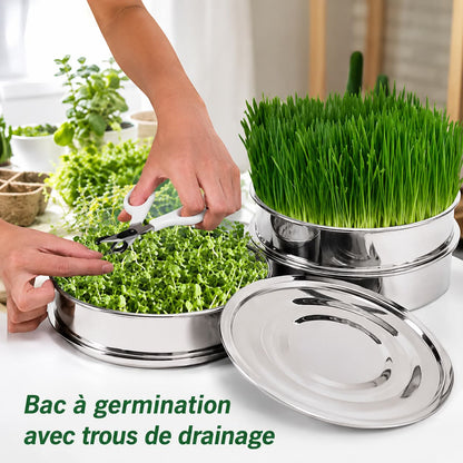 Mains disposant des micro-pousses dans un germoir inox empilable