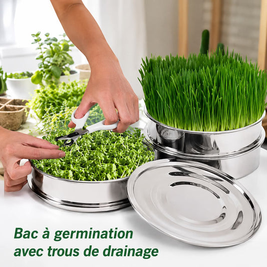 Mains disposant des micro-pousses dans un germoir inox empilable