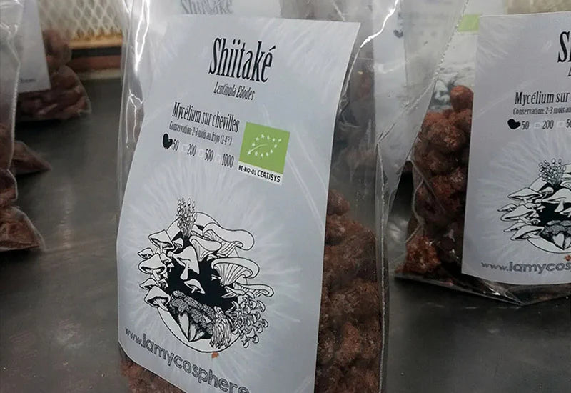 Chevilles de mycélium prêtes à l'inoculation