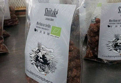 Chevilles de mycélium prêtes à l'inoculation